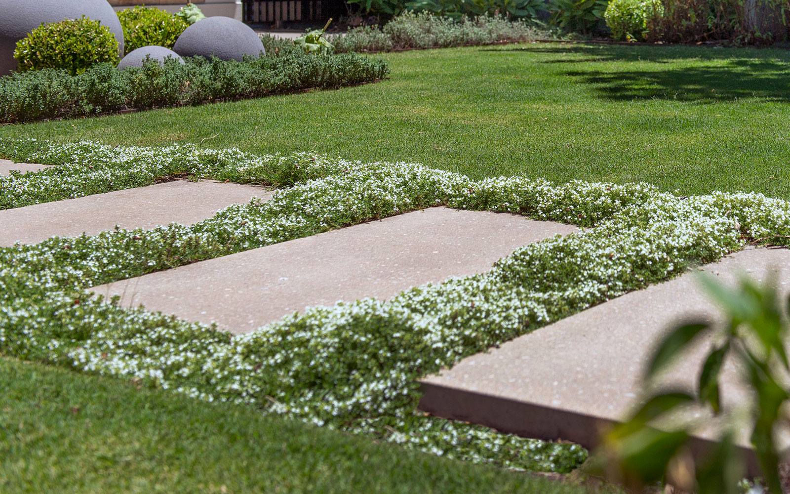 DEVON-CRESWICK_FrewvilleRes