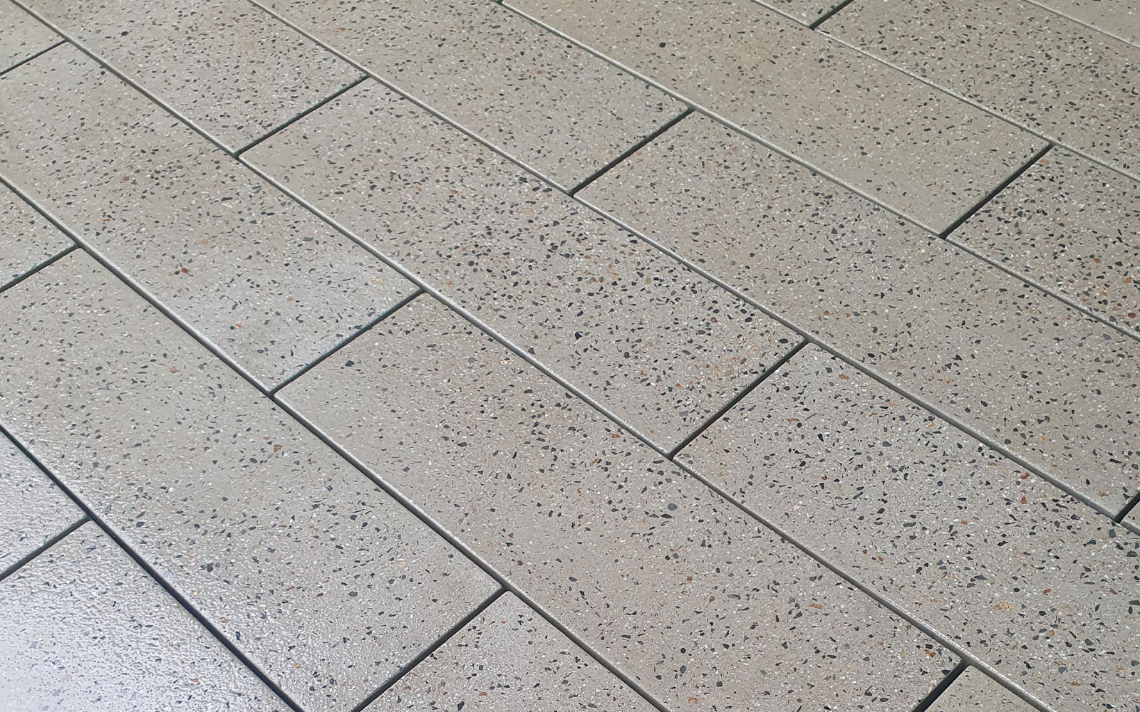 EARTH_VicHeartHospital